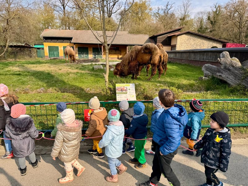 Izlet ili posjet izvan Zvončeka